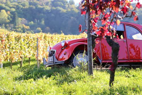 2CV driver